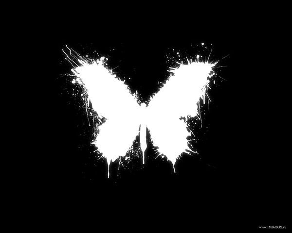 Анастасия Коршун