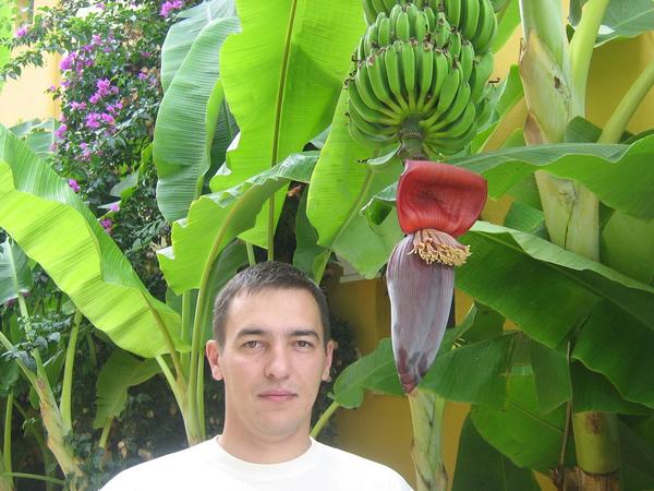 Алексей Алтунин