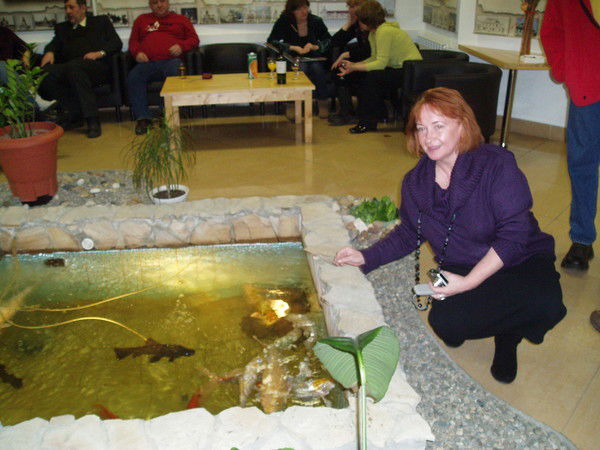 Елена Комарова