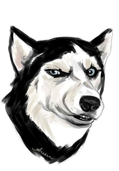 Даулет Еркебеков