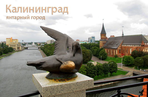 Василий Пилипенко