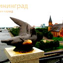 Василий Пилипенко