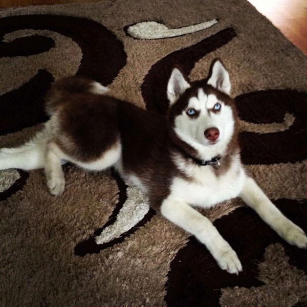 Наталья Алиева