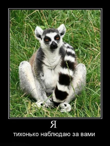 Елена Симоненкова