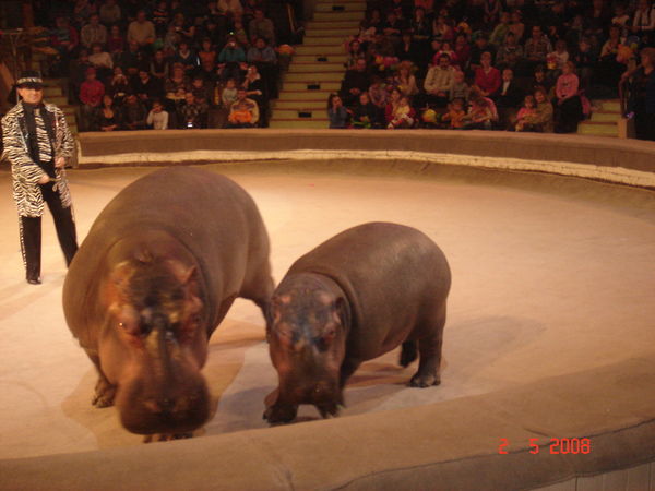 Сергей Запатоцкий