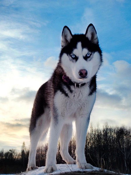 Александр Г