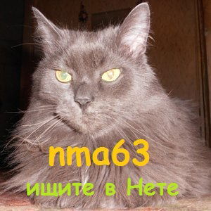 Михаил Наумчик