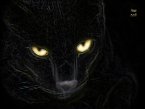 Светлана Пан