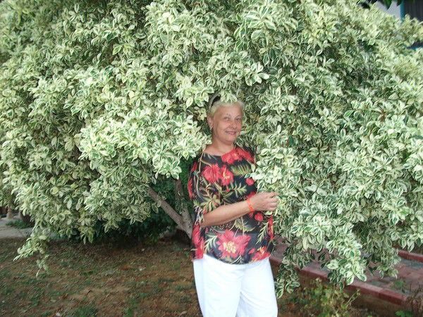 Людмила Коренева