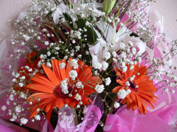 Наталья Тутаева (Петрова)