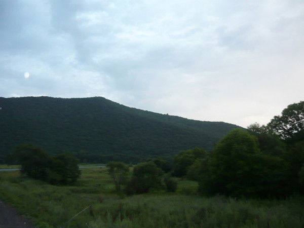 Татьяна Овчинникова