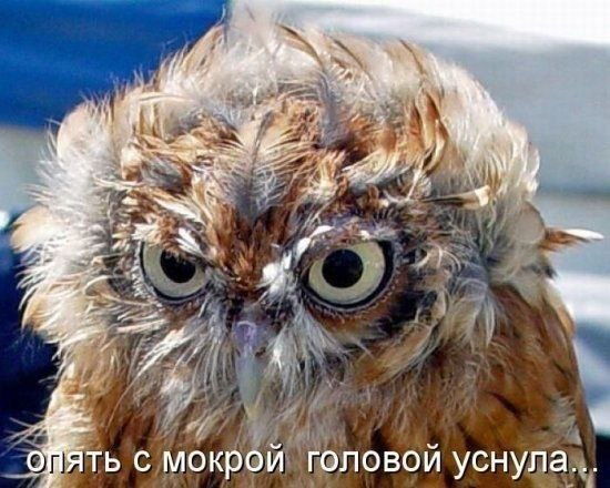 Марина Василенко