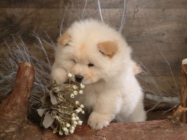 Клара Фахруллина