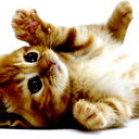 Программист Программист