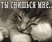 Егор Колесников