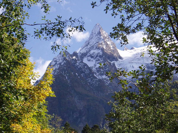 Гюзал Азиззаде