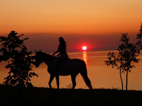 Наталия Абентум