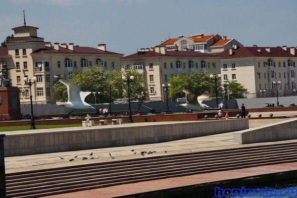 Анжелика Половина