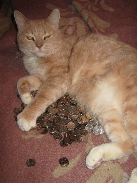 Нумизмат Бонист