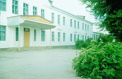 Елена Сидельникова