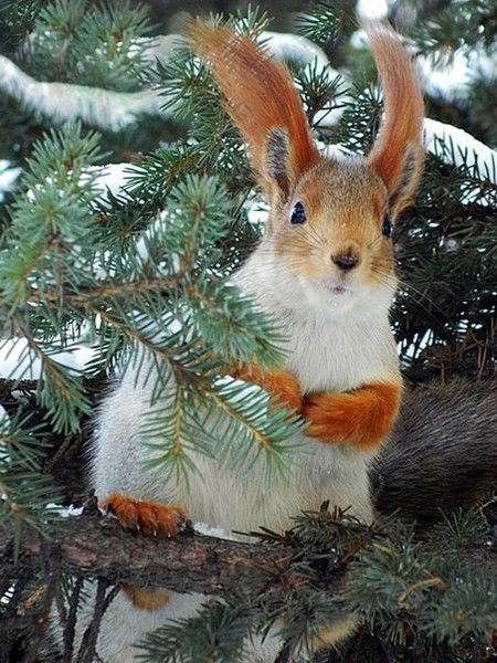 Татьяна Лушина