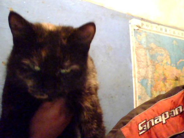 Михаил Бараев