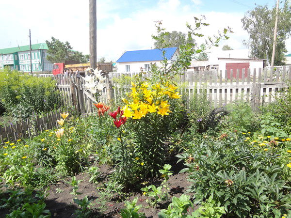 Алена Коваленко