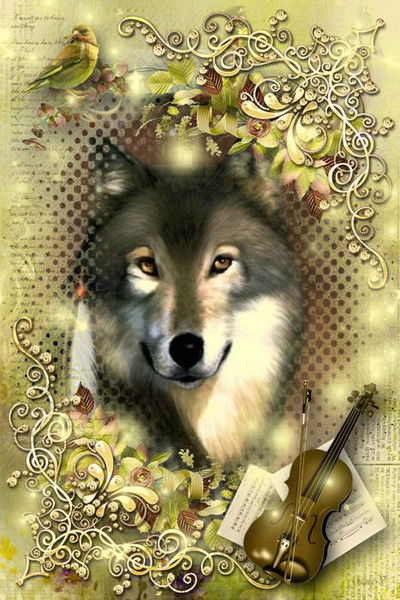 Геннадий Самойленко