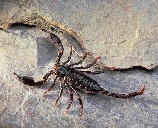 Илья Иончиков