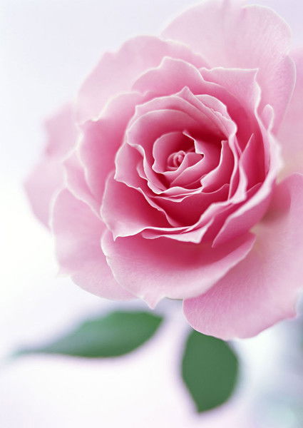 Айман Рахымбаева