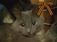 Елена Мухина