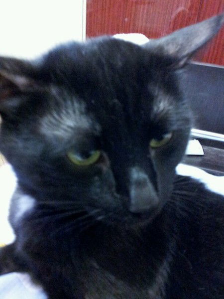 Александр Евсютин