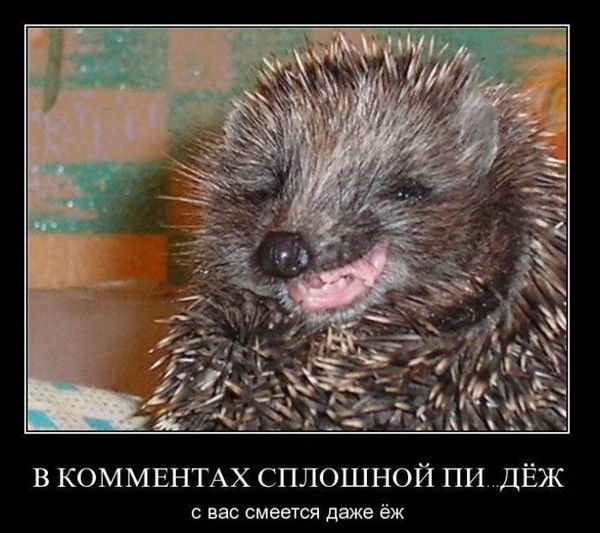 Виктор Солодовников