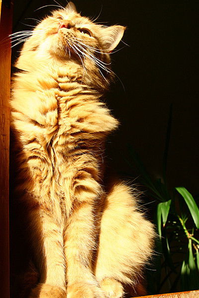 Людмила ,,,,,,,,,,,,,,,