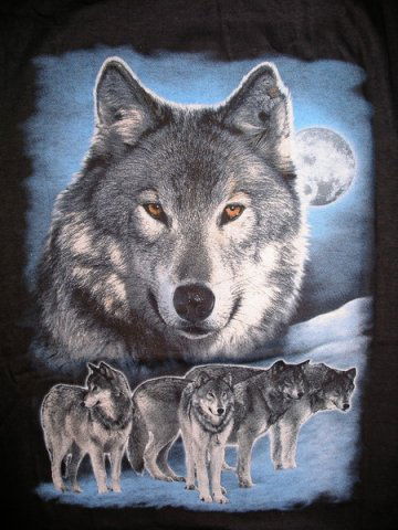 Владимир Антохов