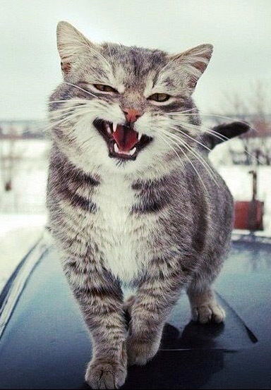 Игорь Узянов