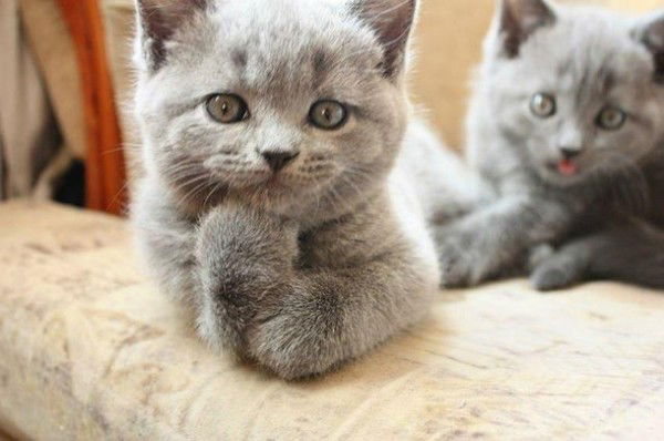 Людмила Королькова