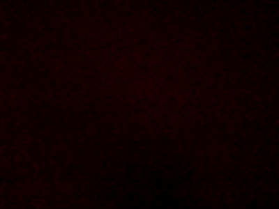 Александр Максимов