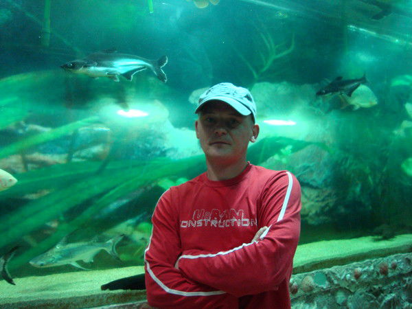 Николай Михайлов