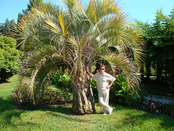 Владислав Ген