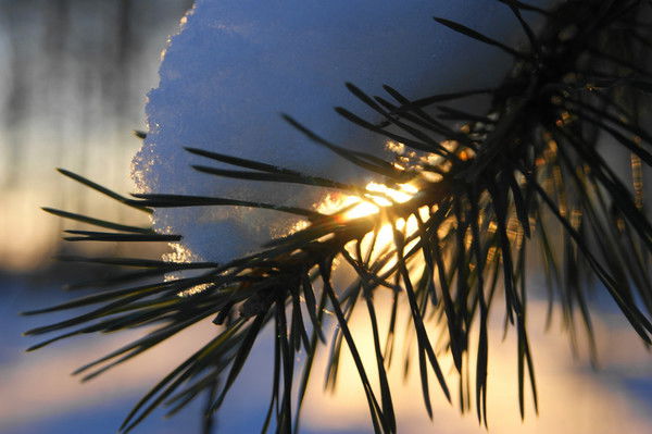 Ольга Игленкова