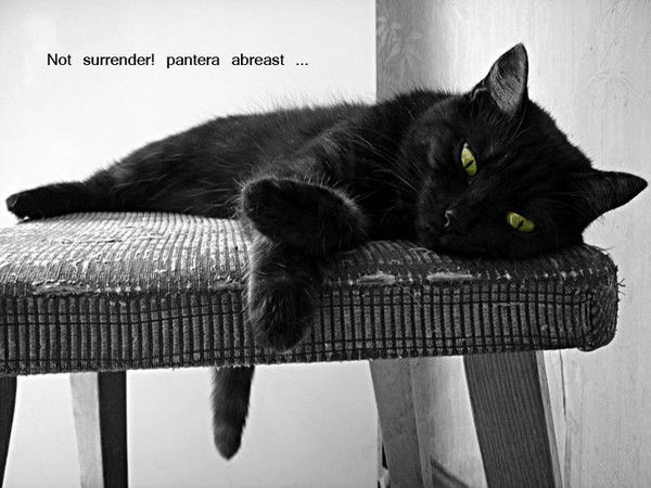 Александр .