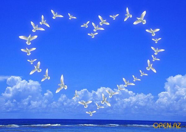 Кнопочка Кнопа