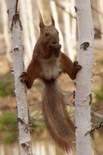 Софья Марьенкова