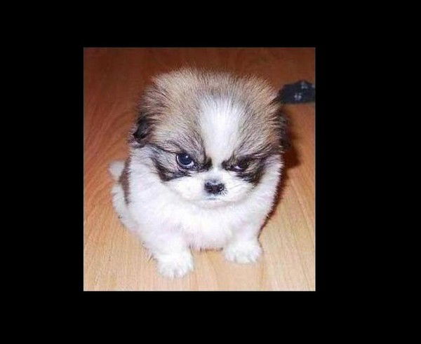 Константин Усимов