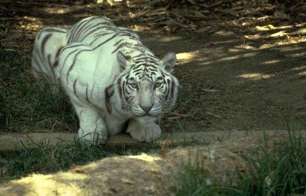 Наталья Новикова