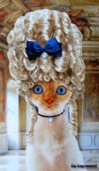 Елена Быхаленко