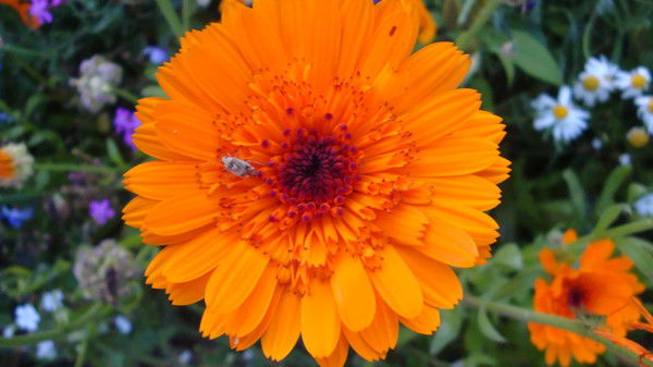 Ольга Матвеева