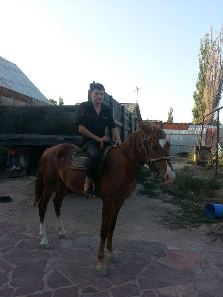 Алиша Темиралиев