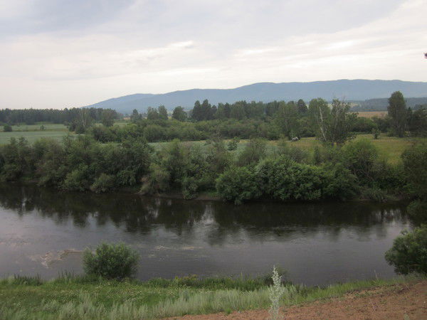 Галия Мухамедьянова